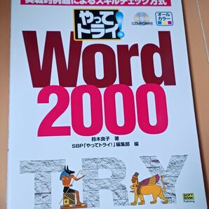 ⑫やってトライ!Word2000 実戦的例題によるスキルチェック方式 CD-ROM付き