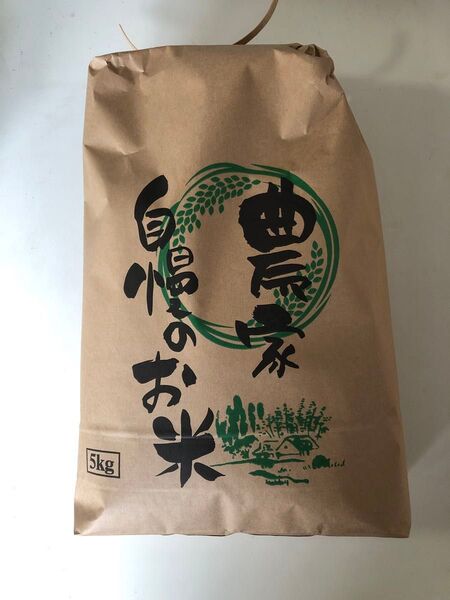 令和6年産 精米 キヌヒカリ 5kg