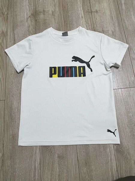 PUMA ホワイト キッズ Tシャツ ロゴ入り150