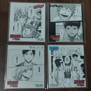 ジャンプフェア 2025アニメイト 特典 色紙 11枚 (ハンター、ハイキュー!、他)