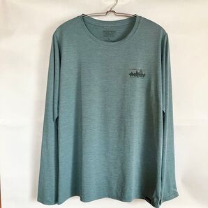 patagonia パタゴニア ウィメンズ ロングスリーブ キャプリーン クールデイリー グラフィック シャツL グリーン系