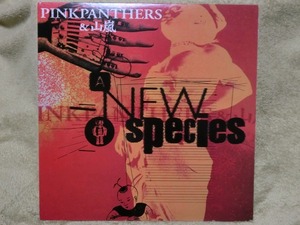 中古 12”LP レコード JPN盤 MFJA-6 / Pinkpanthers & 山嵐 A New Species & Outside is the real world 12”EP 2枚セット / 1997年 