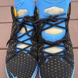 NIKE ナイキレブロン18 LEBRON XVIII サイズ25.5