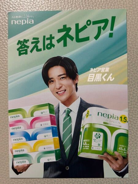 ネピア 目黒蓮 フライヤー 冊子