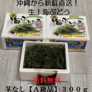 茎なしA級品 生!海ぶどう300g (シークヮーサー果汁入りタレ付き) 生産者から新鮮直送!小分けしているのでシェアに便利です!