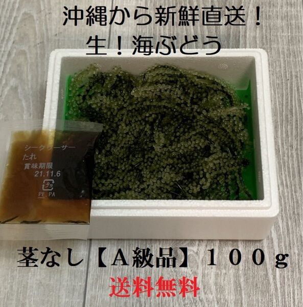 茎なしA級品 生!海ぶどう100g(シークヮーサー果汁入りタレ付き)生産者から新鮮直送!生海ぶどうのお試しに最適です!