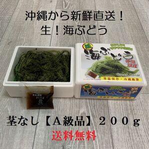 茎なしA級品 生!海ぶどう200g(シークヮーサー果汁入りタレ付き)生産者から新鮮直送!お試しに最適です!