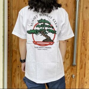 SUNSET BONSAI CLUB サンセットボンサイクラブ Tシャツ 半袖