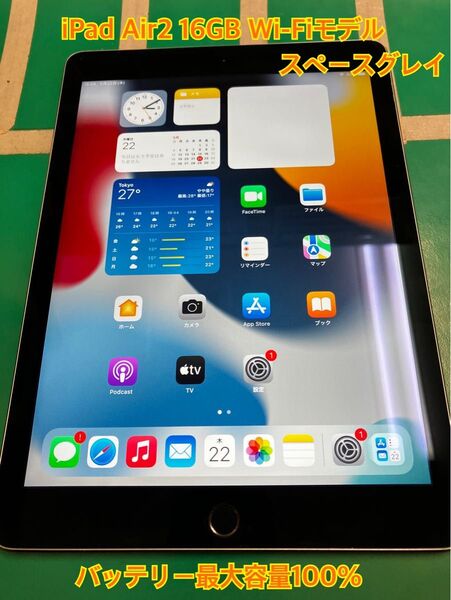 【ジャンク品】iPad Air2 16GB Wi-Fiモデル スペースグレイ バッテリー最大容量100%