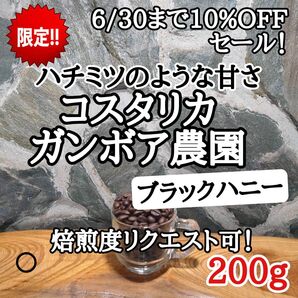 コスタリカ SHB ブラックハニー 200g 自家焙煎 コーヒー豆 注文後焙煎