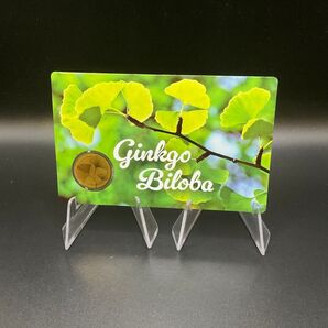GINKGO BILOBA 金貨 純金