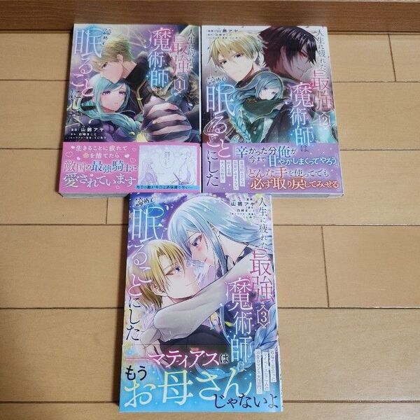 人生に疲れた最強魔術師 3冊