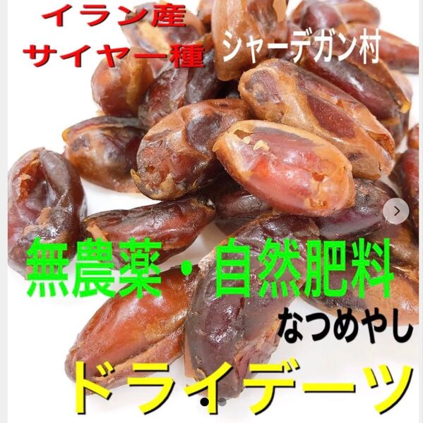 イラン産 デーツ 700g 種無し 自然肥料 農薬不使用 ドライフルーツ