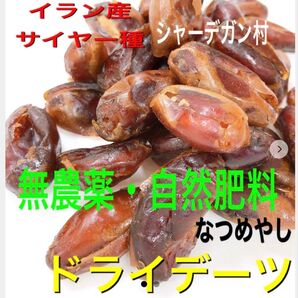 イラン産 デーツ 700g 種無し 自然肥料 農薬不使用 ドライフルーツ