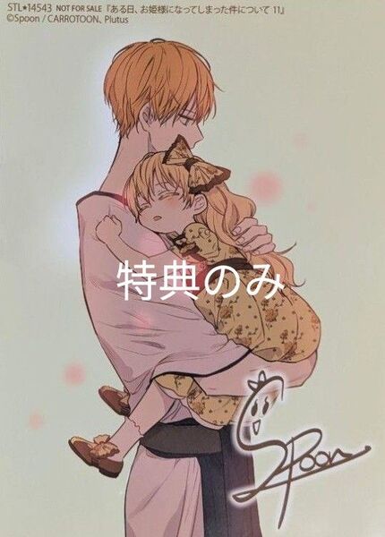 ある日、お姫様になってしまった件について11巻 ステラワース特典のみ
