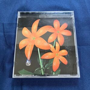 ORANGE RANGE/花
