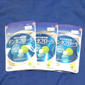 フジッコ デンタフローラ 3袋 93日分