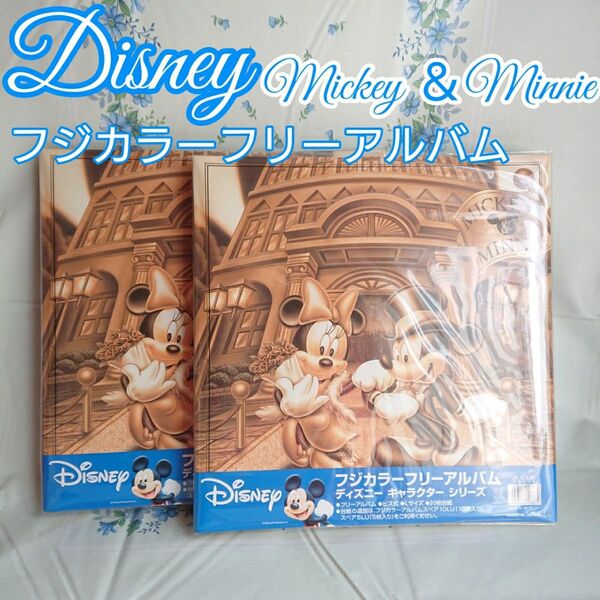 Disney フジカラー フリーアルバム ディズニーキャラクターシリーズ 20枚台紙 未使用 2冊