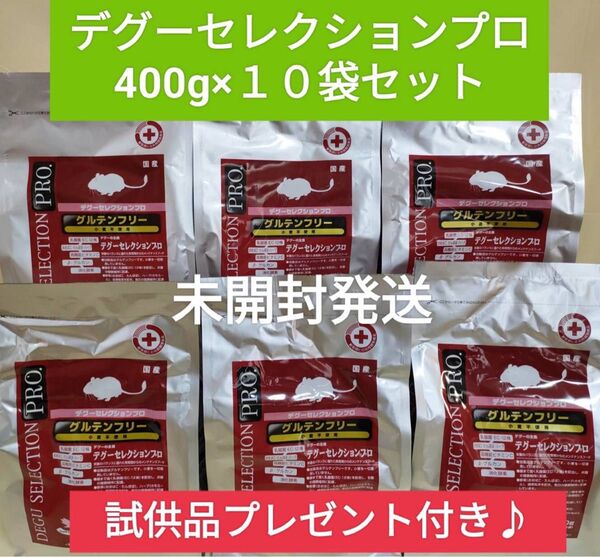 【まとめ買い大特価】デグーセレクションプログルテンフリー600g×10袋セット 試供品プレゼント付き♪