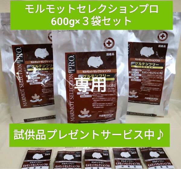 【専用】モルモットセレクションプログルテンフリー600g×3袋セット試供品付き♪