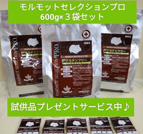モルモットセレクションプログルテンフリー600g×3袋セット試供品プレゼント付き♪