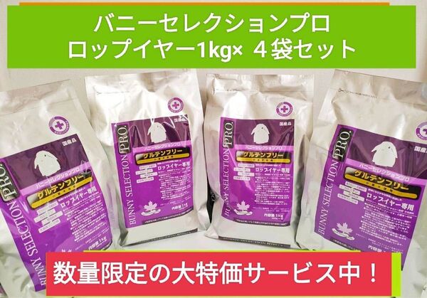 【限定セール大特価!】バニーセレクションプログルテンフリー ロップイヤー1kg×4袋セット