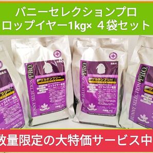 バニーセレクションプログルテンフリーロップイヤー1kg×4袋セット