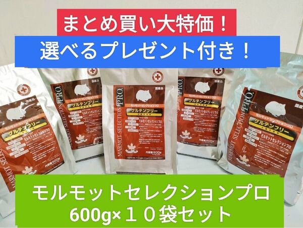 【まとめ買い大特価!】モルモットセレクションプログルテンフリー600g×10袋セット 選べるプレゼント付き♪