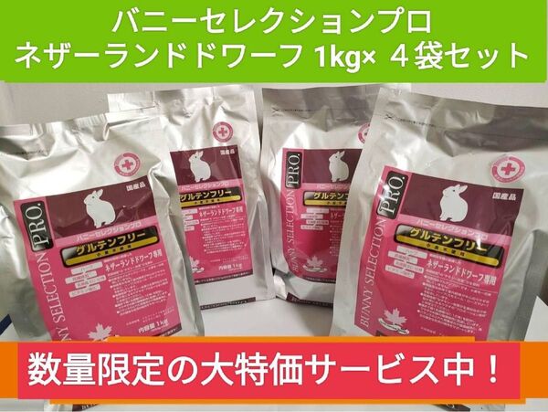 バニーセレクションプログルテンフリーネザーランドドワーフ1kg×4袋セット