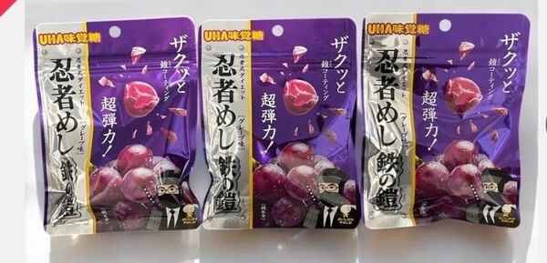 UHA味覚糖 忍者めし 鉄の鎧 グレープ味×3袋