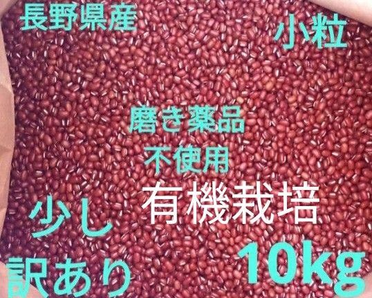 小豆 乾燥小豆 長野県産小豆10kg 有機栽培 訳あり 磨き薬品不使用 豆 国産 小粒