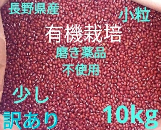 小豆 乾燥小豆 長野県産小豆10kg 有機栽培 訳あり 磨き薬品不使用 豆 国産 小粒
