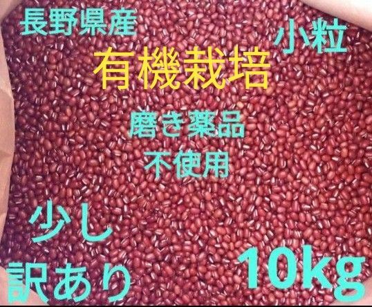 小豆 乾燥小豆 長野県産小豆10kg 有機栽培 訳あり 磨き薬品不使用 豆 国産 小粒