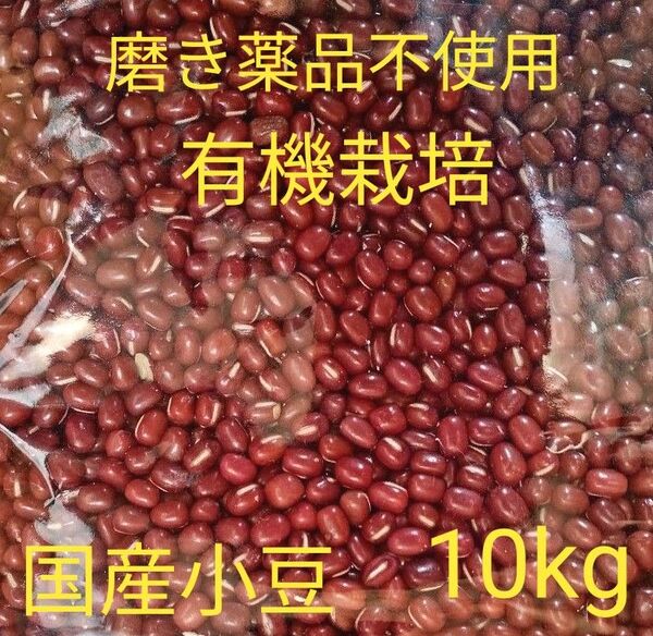 小豆 乾燥小豆 長野県産小豆10kg 有機栽培 訳あり 磨き薬品不使用 豆 国産 小粒 国産 国内産 業務用