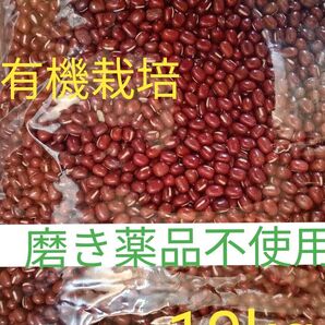 小豆 乾燥小豆 長野県産小豆10kg 有機栽培 訳あり 磨き薬品不使用 豆 国産 小粒 乾燥豆