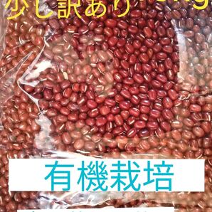 小豆 乾燥小豆 長野県産小豆10kg 有機栽培 訳あり 磨き薬品不使用 豆 国産 小粒