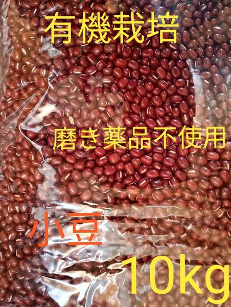 小豆 乾燥小豆 長野県産小豆10kg 有機栽培 訳あり 磨き薬品不使用 豆 国産 小粒 乾燥豆