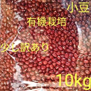小豆 乾燥小豆 長野県産小豆10kg 有機栽培 訳あり 磨き薬品不使用 豆 国産 小粒 乾燥豆 豆 国内産