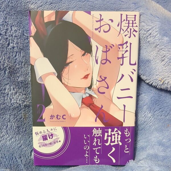爆乳バニーおばさん 2 (NOiPA COMiCS) かむC/著