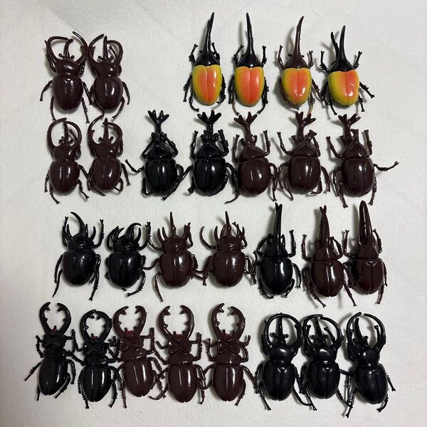 カブトムシ クワガタ セット