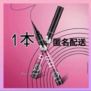 新品未開封 アイライナー 36H 36時間 耐久 リキッド 耐水 ブラック 1本 ウォータープルーフ 匿名配送