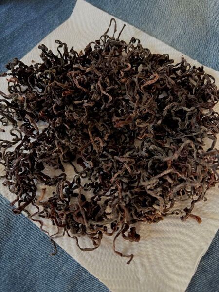 乾燥ぜんまい 100g 新潟県産
