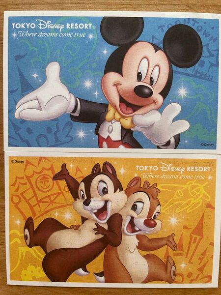 スポンサーパスポート 東京ディズニーリゾート ペア 有効期限5月31日