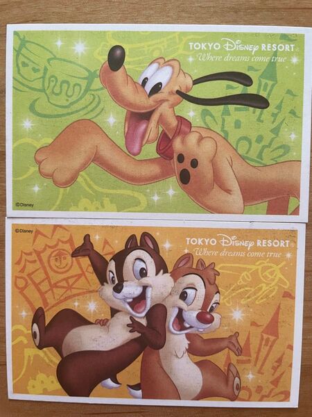 東京ディズニーリゾート パークチケット ペア