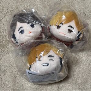 ハイキュー もちマス 宮侑 宮治 稲荷崎 もちもちマスコット アニメイトBOX特典
