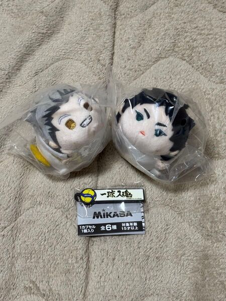 ハイキュー もちもちマスコット 木兎光太郎 赤葦京治 梟谷 もちマス