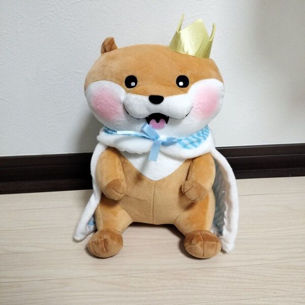 可愛い嘘のカワウソ 誕生日だぬ! BIGぬいぐるみ