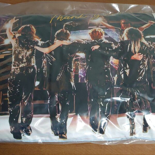 GLAY 30th Anniversaryエンタメくじ vol.2 ラスト賞 複製サイン & メッセージ入り BIGクッション