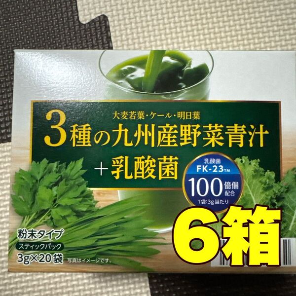 3種の九州産野菜青汁+乳酸菌 ★★6箱★★