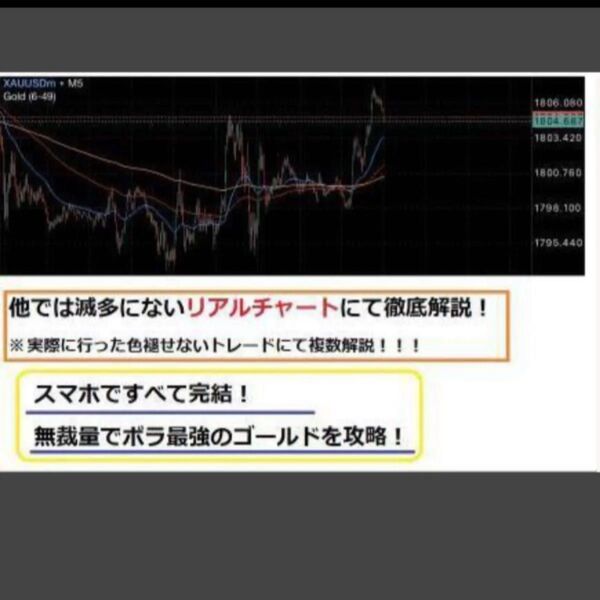 ⑪★スマホFX 無裁量GOLD専用裏技手法教えます★定価15000円★